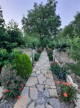 کد ملک 4366